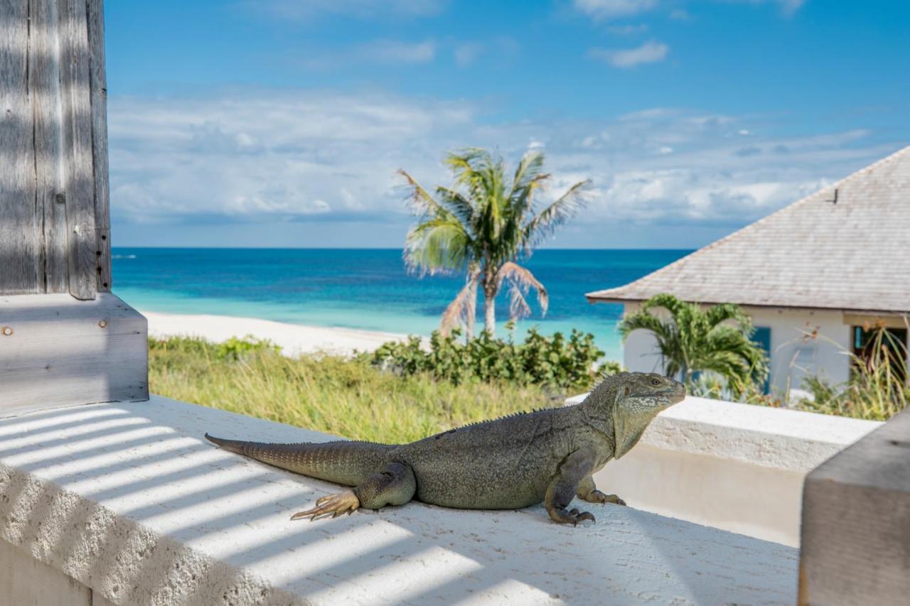 Ambergris Cay Private Island All Inclusive - Pls Island Hopper Flight Included Big Ambergris Cay Екстериор снимка